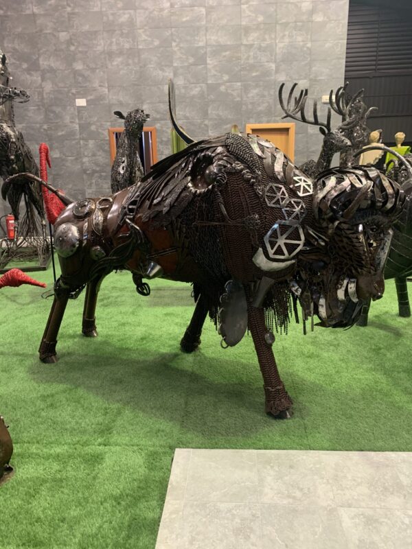 bison I - Imagen 2