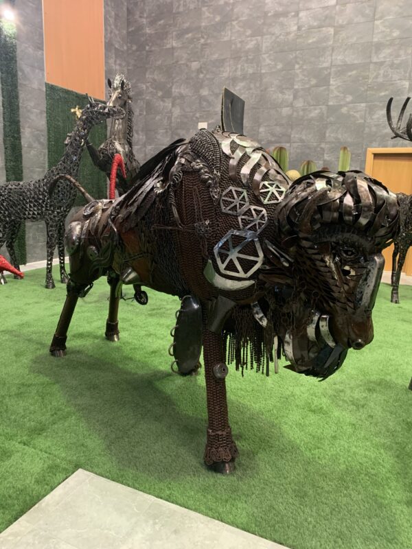 bison I