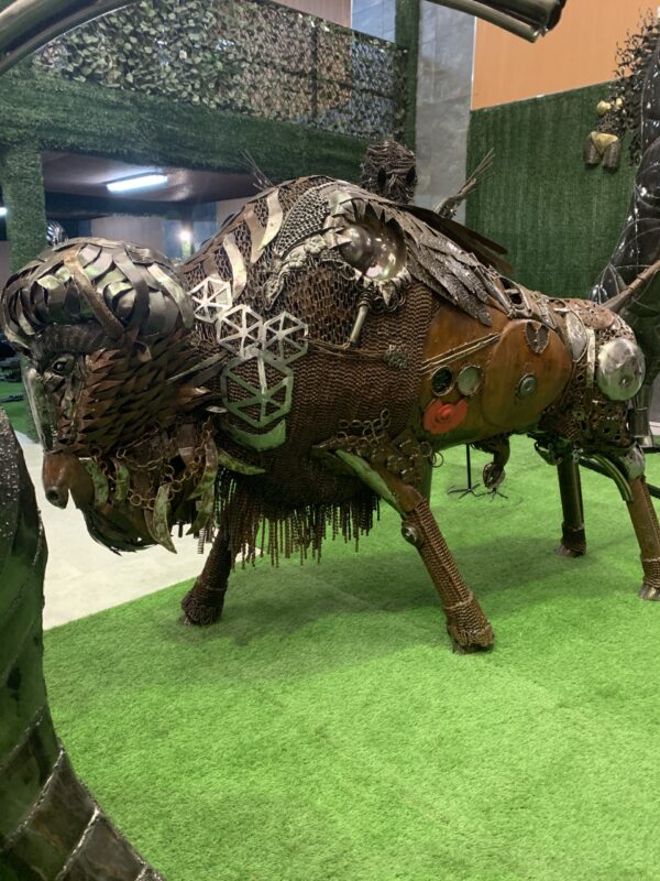 bison I - Imagen 4