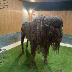 bison III