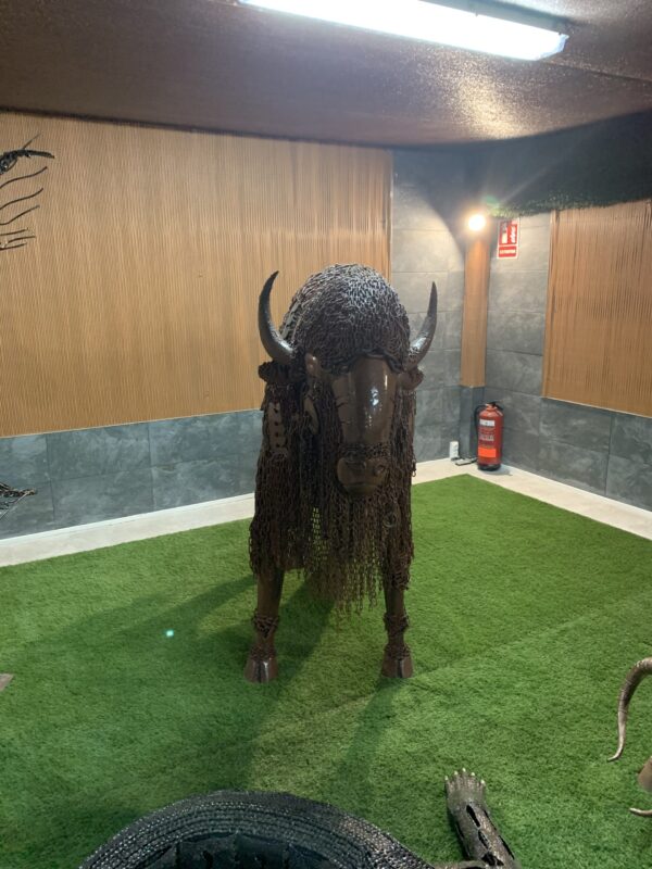 bison III - Imagen 3