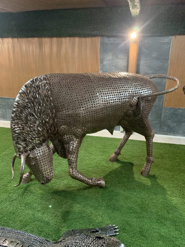 bull III