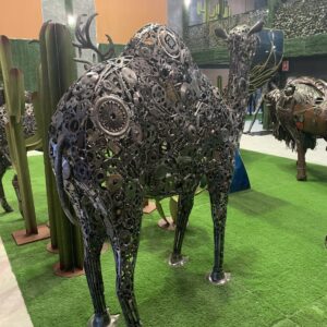 camel