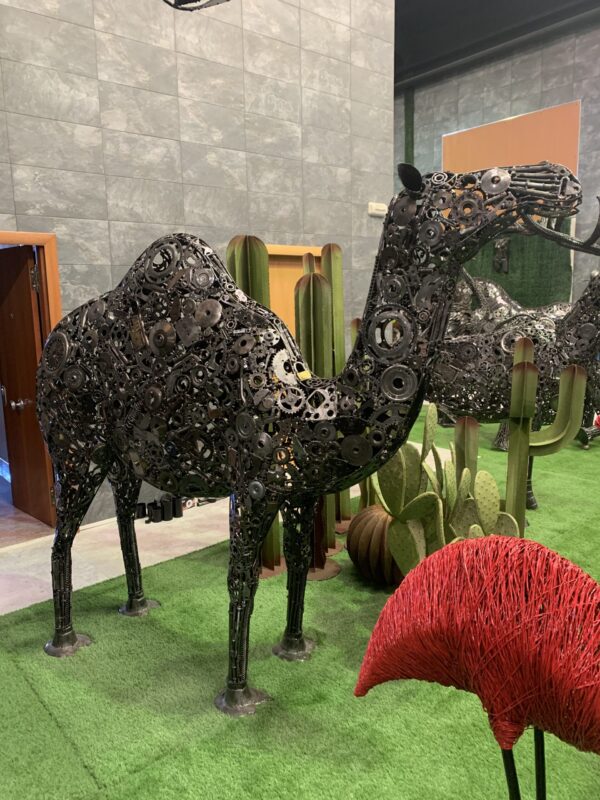 camel - Imagen 2