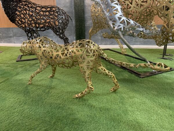 cheetah