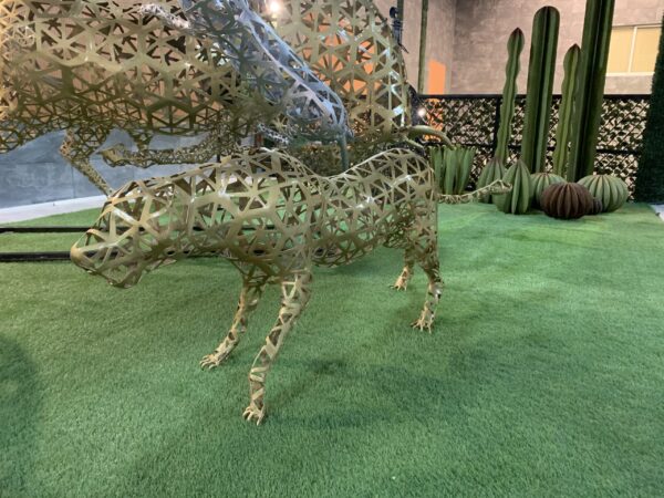 cheetah - Imagen 2