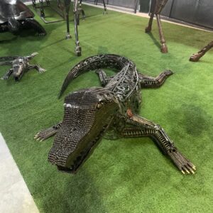 crocodile I