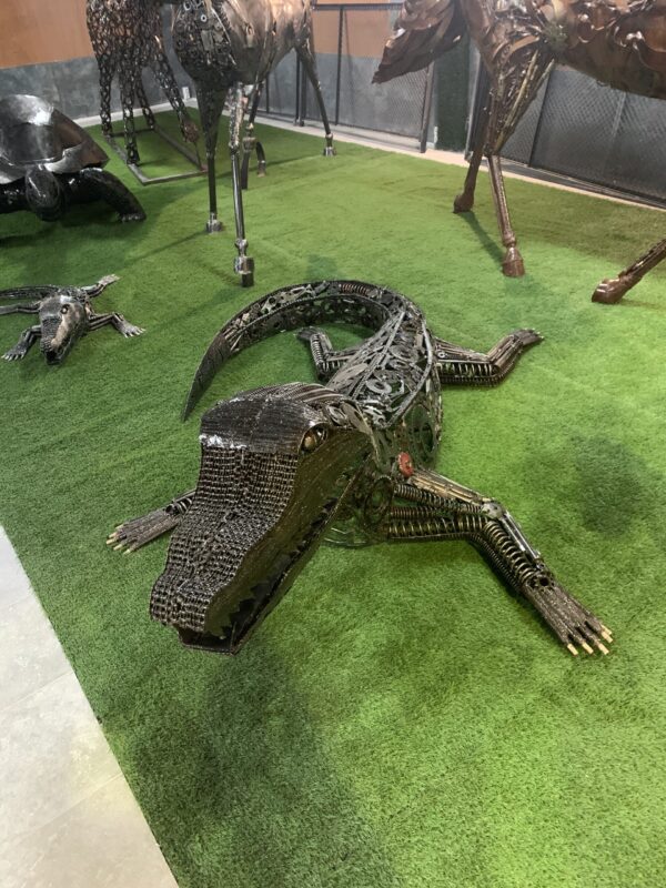 crocodile I