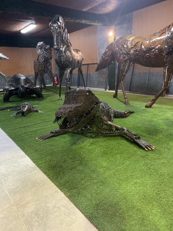 crocodile I - Imagen 2