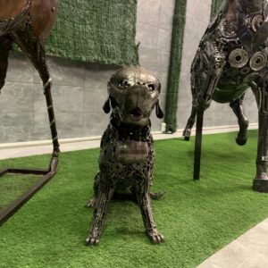 dog I