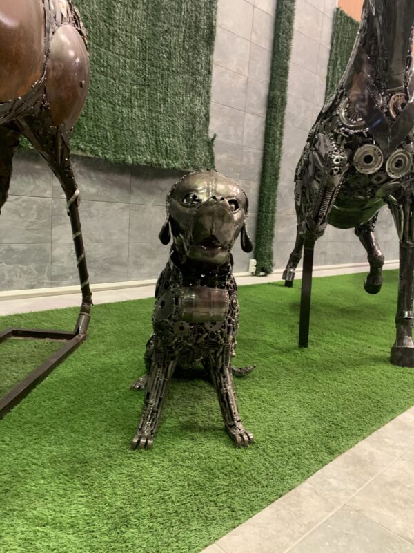 dog I