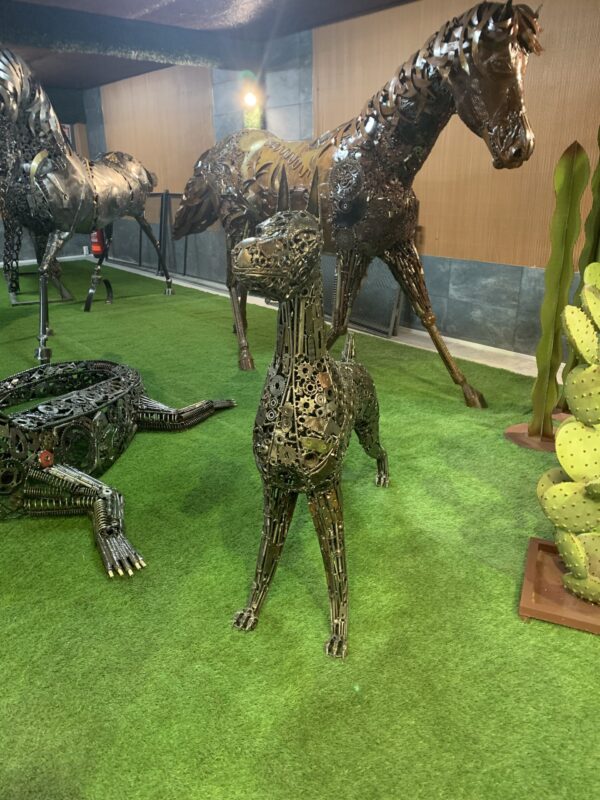 dog II