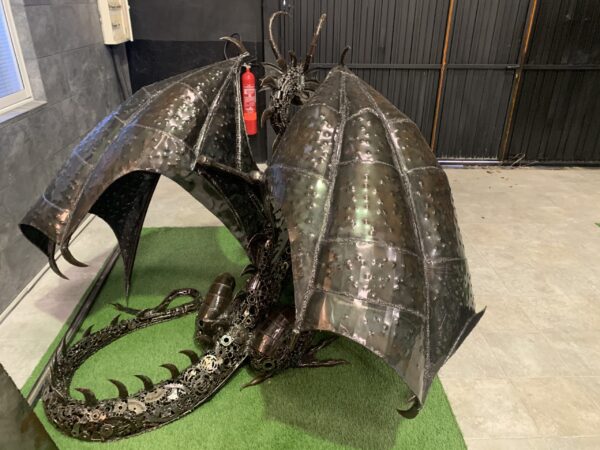 dragon D1a - Imagen 3