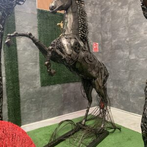 horse V