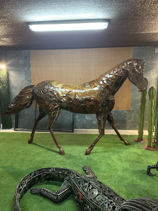 horse VII