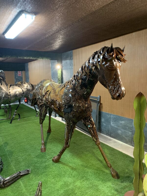 horse VII - Imagen 2