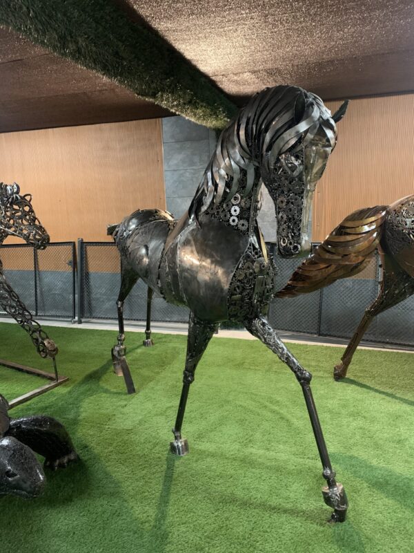 horse VIII