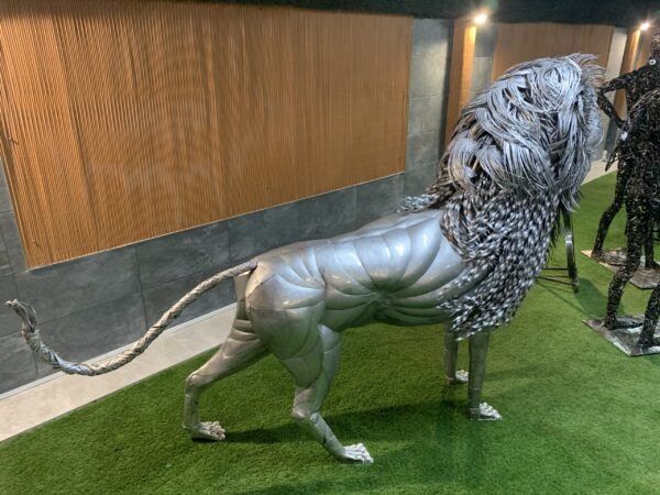 lion II