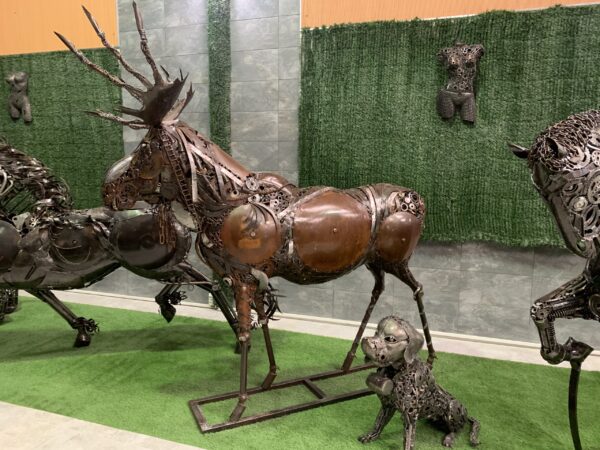 moose