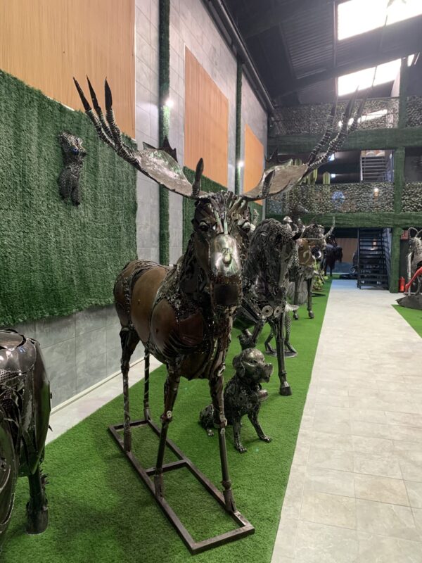moose - Imagen 2