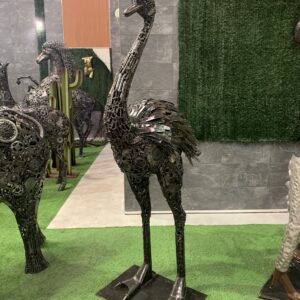 ostrich