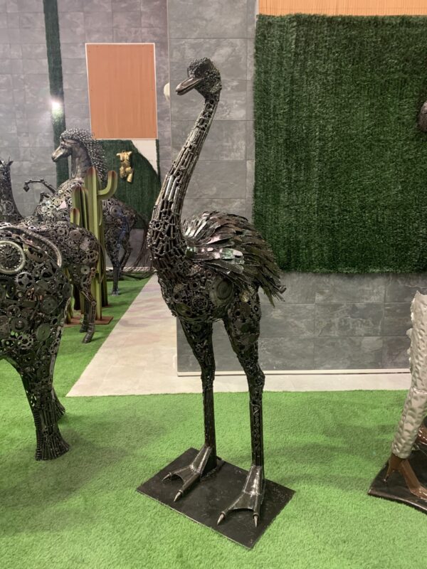 ostrich