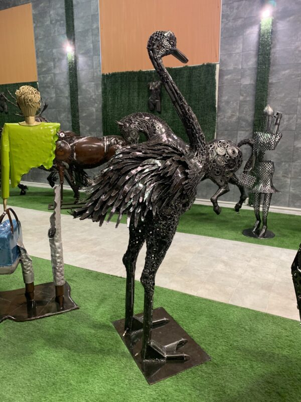 ostrich - Imagen 2