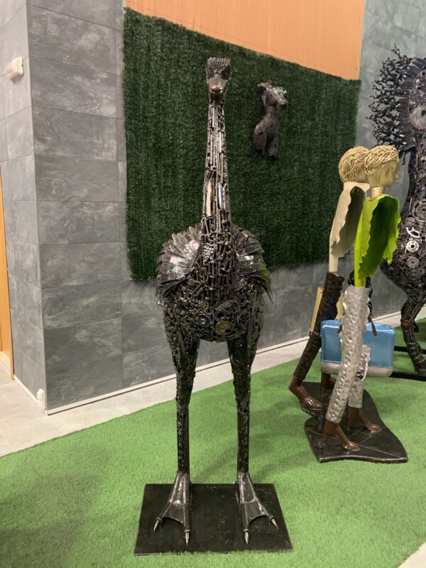 ostrich - Imagen 3
