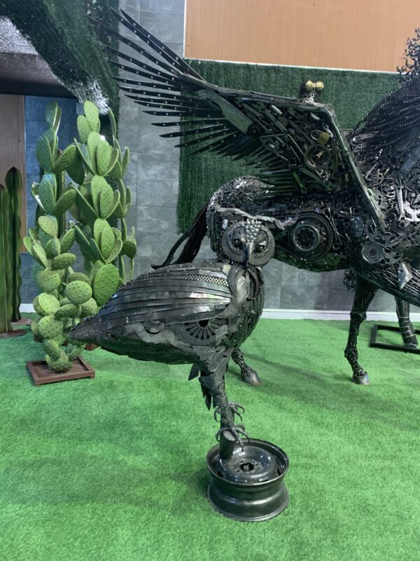 owl