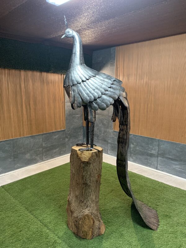 peacock - Imagen 2