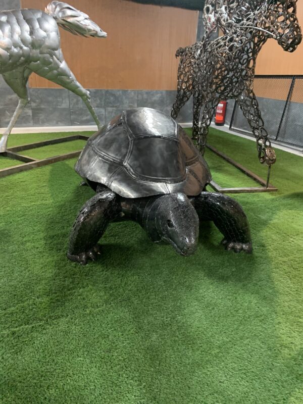 turtles - Imagen 2