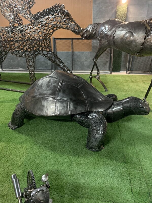 turtles
