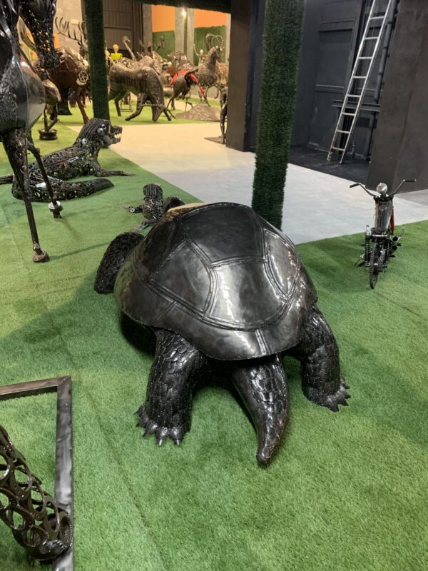 turtles - Imagen 3